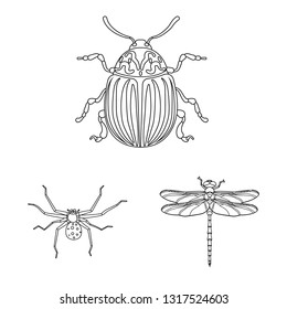 Vector illustration of insect and fly sign. Collection of insect and element stock vector illustration.