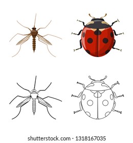 Vector illustration of insect and fly sign. Collection of insect and element stock vector illustration.