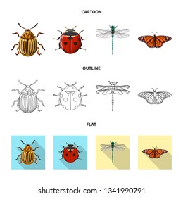 Vector illustration of insect and fly sign. Collection of insect and element stock symbol for web.