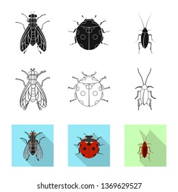 Vector illustration of insect and fly sign. Collection of insect and element vector icon for stock.