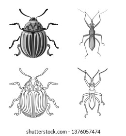 Vector illustration of insect and fly sign. Set of insect and element stock vector illustration.