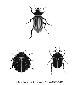 Vector illustration of insect and fly sign. Set of insect and element stock vector illustration.