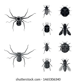 Vector illustration of insect and fly sign. Set of insect and element stock symbol for web.