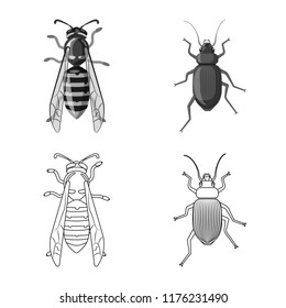 Vector illustration of insect and fly symbol. Set of insect and element stock vector illustration.