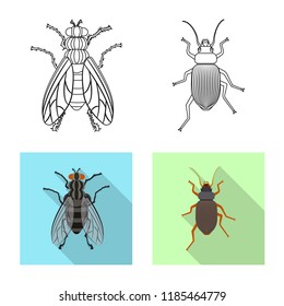 Vector illustration of insect and fly symbol. Collection of insect and element vector icon for stock.