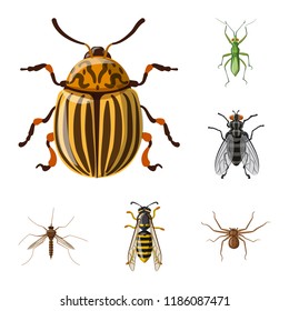 Vector illustration of insect and fly symbol. Collection of insect and element stock vector illustration.