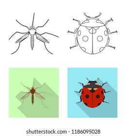 Vector illustration of insect and fly symbol. Collection of insect and element vector icon for stock.