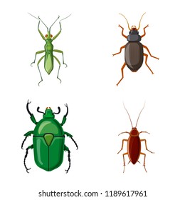 Vector illustration of insect and fly symbol. Set of insect and element vector icon for stock.