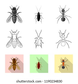 Vector illustration of insect and fly symbol. Set of insect and element stock symbol for web.
