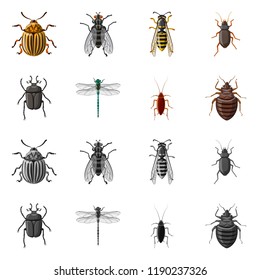 Vector illustration of insect and fly symbol. Set of insect and element stock vector illustration.