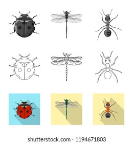 Vector illustration of insect and fly symbol. Set of insect and element stock symbol for web.