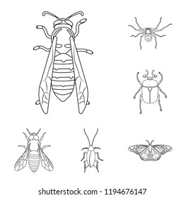 Vector illustration of insect and fly symbol. Set of insect and element stock vector illustration.