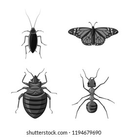 Vector illustration of insect and fly symbol. Set of insect and element stock vector illustration.