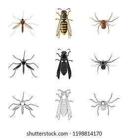 Vector illustration of insect and fly symbol. Collection of insect and element stock vector illustration.