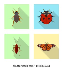 Vector illustration of insect and fly symbol. Collection of insect and element stock symbol for web.