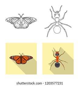 Vector illustration of insect and fly symbol. Collection of insect and element stock symbol for web.