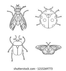 Vector illustration of insect and fly symbol. Collection of insect and element stock vector illustration.