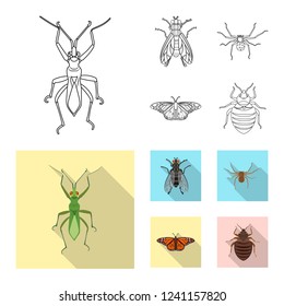 Vector illustration of insect and fly symbol. Set of insect and element stock symbol for web.