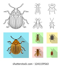Vector illustration of insect and fly symbol. Collection of insect and element stock vector illustration.