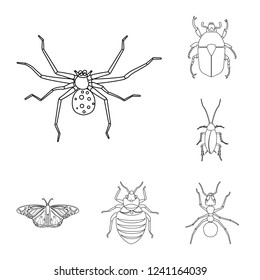 Vector illustration of insect and fly symbol. Collection of insect and element vector icon for stock.