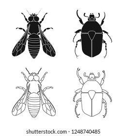 Vector illustration of insect and fly symbol. Collection of insect and element stock vector illustration.