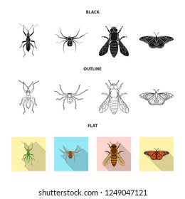Vector illustration of insect and fly symbol. Collection of insect and element stock vector illustration.
