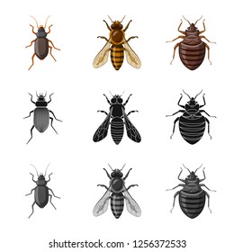 Vector illustration of insect and fly symbol. Set of insect and element stock vector illustration.