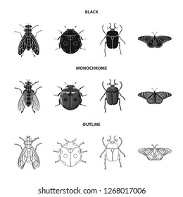 Vector illustration of insect and fly symbol. Set of insect and element stock vector illustration.