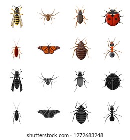 Vector illustration of insect and fly symbol. Collection of insect and element vector icon for stock.