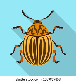 Vector illustration of insect and fly symbol. Collection of insect and element stock symbol for web.