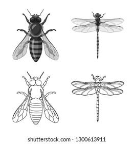 Vector illustration of insect and fly symbol. Set of insect and element vector icon for stock.