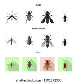 Vector illustration of insect and fly symbol. Collection of insect and element stock symbol for web.