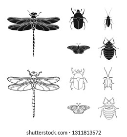 Vector illustration of insect and fly symbol. Set of insect and element vector icon for stock.