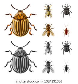Vector illustration of insect and fly symbol. Set of insect and element vector icon for stock.