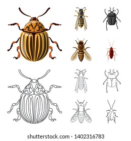 Vector illustration of insect and fly symbol. Set of insect and element stock symbol for web.