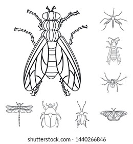 Vector illustration of insect and fly symbol. Collection of insect and element stock vector illustration.