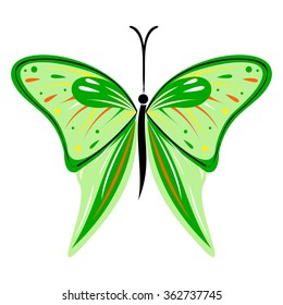 Vector illustration of insect, green butterfly, isolated on the white background
