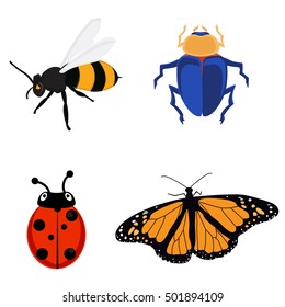 Vector illustration insect icon flat set, collection bee, ladybug, butterfly and scarab