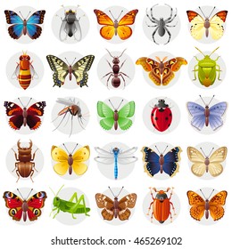 Vector illustration of insect icon set. Flying animals - peacock butterfly, spider, bee, Swallowtail, ant, atlas moth, bug, admiral, mosquito, ladybug, stag beetle, dragonfly, grasshopper, beetle. 