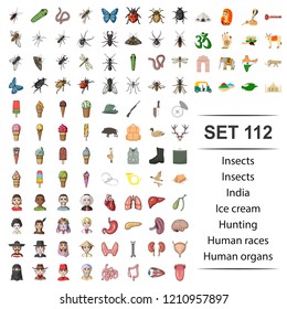 Vector illustration of insect, india, ice cream, hunting, human race organ icon set.