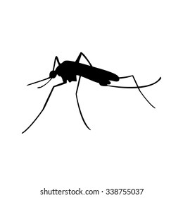 Vector illustration insect. Malaria or mosquito. Mosquito black silhouette.