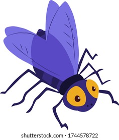 Vector illustration of insect on white background