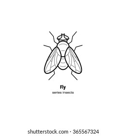 Vector illustration of an insect pest fly in a modern style mono line isolated on a white background. Black and white