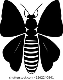 vector illustration of insect shape