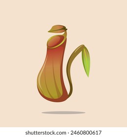 vector illustration of insectivorous pitcher plant