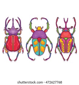Vector Illustration of Insects Colorful Hand Drawn. Set of 3 Beetle Bugs Top View
