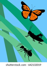 vector illustration of insects in grass