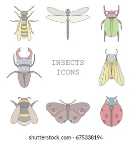 Vector illustration of insects icons color set