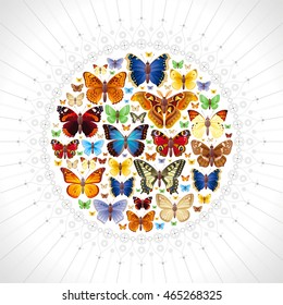 Vector illustration of insects icons set. Abstract modern concept with mandala ornament and natural symbols - atlas moth, peacock, admiral, swallowtail butterflies. Template animal collection
