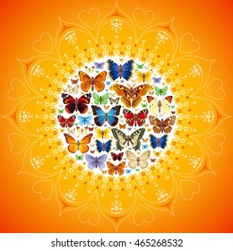 Vector illustration of insects icons set. Abstract modern concept with mandala ornament and natural symbols - atlas moth, peacock, admiral, swallowtail butterflies. Template animal collection